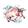 переводная татуировка stjernetegn tyren