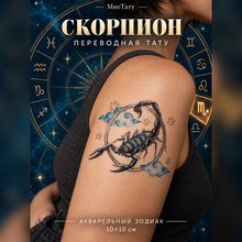 Переводная татуировка Знаки зодиака Скорпион