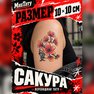 переводная татуировка sakura