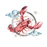 переводная татуировка cancro zodiacale