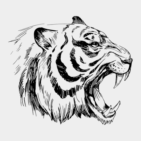 переводная татуировка tiger tal-amur