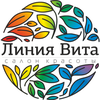 Салон красоты «Линия Vita»