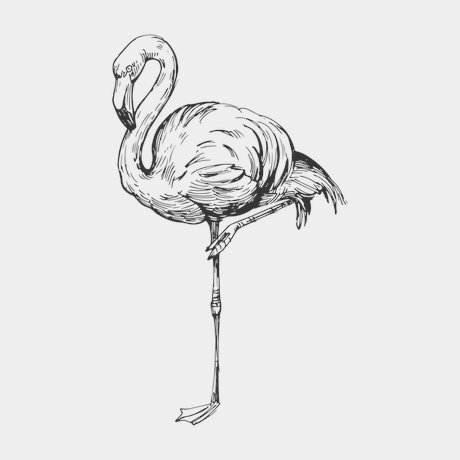 переводная татуировка ensom flamingo